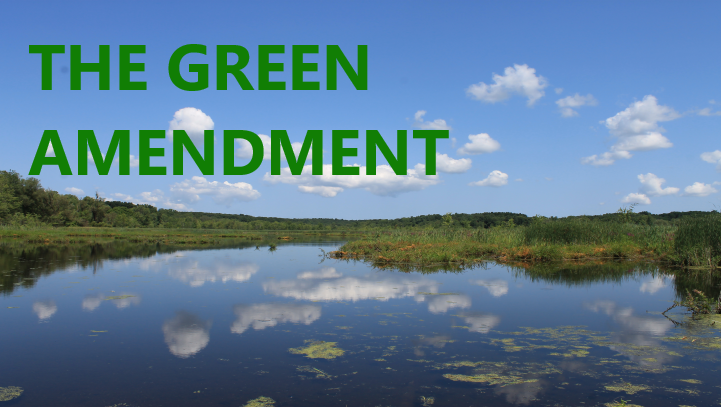 Green Amendment NY